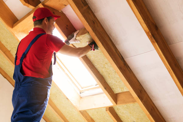 Best Commercial Insulation Services  in Vinings, GA